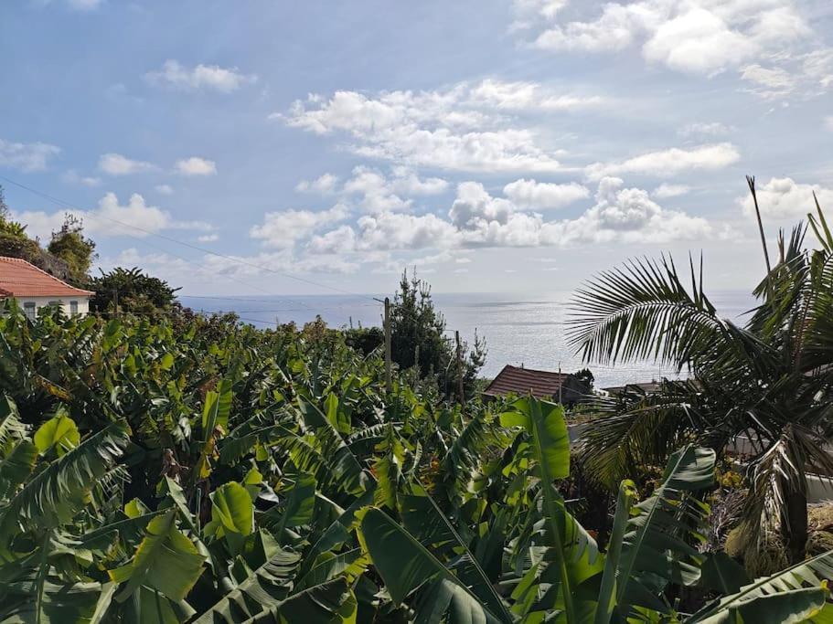 Ferienwohnung Vаrаndаs Dо Sоl-Vista Relaxante Entre Mar E Montanha Ponta do Sol  Exterior foto
